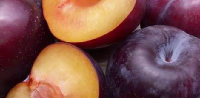 quick natural skin care tips at home quick natural skin care tips at home