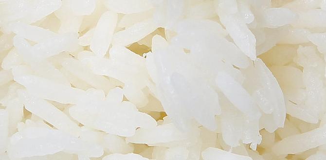 rice flour body scrub recipe rice flour body scrub recipe