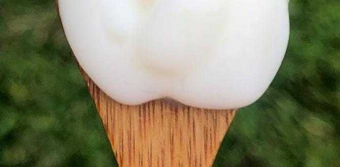 shea butter lotions