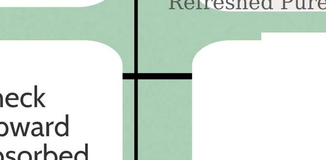 simple best skin care products before makeup simple best skin care products before makeup