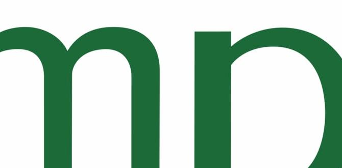 simple korean skin routine routine checklist