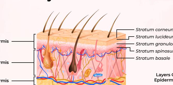 skin conditions in kids