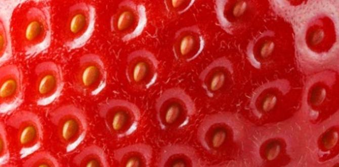 strawberry legs treatment home remedies strawberry legs treatment home remedies