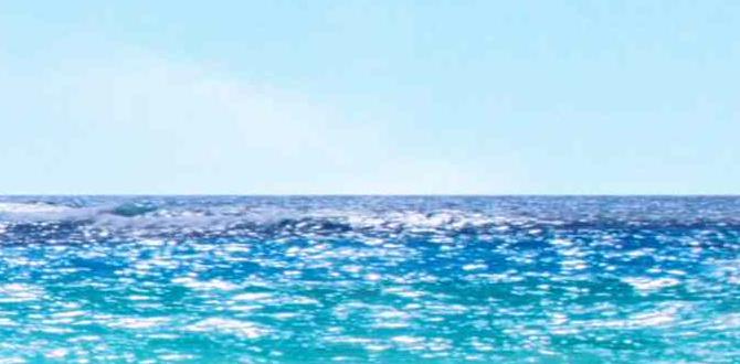 summer skincare for full body summer skincare for full body