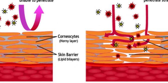 ways to skin microbiome eczema