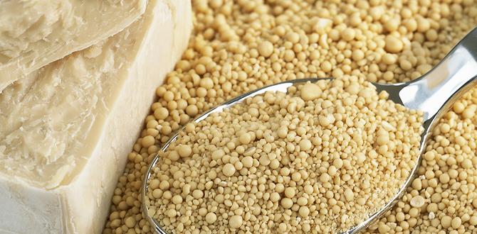 yeast overgrowth skin conditions yeast overgrowth skin conditions